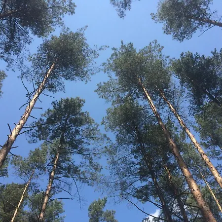 別荘 Domki-mazury パシム